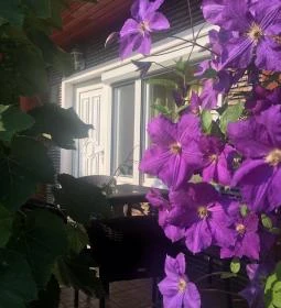 Fenyves Vendégház Kehidakustány