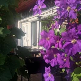 Fenyves Vendégház Kehidakustány Kehidakustány - Egyéb