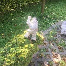 Fenyves Vendégház Kehidakustány Kehidakustány - Medence/kert