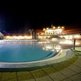 Hertelendy Ház Kehidakustány - Medence/kert