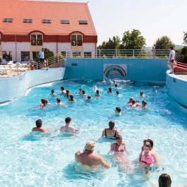 Hertelendy Ház Kehidakustány - Medence/kert