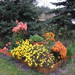 Ibolya Vendégház Kehidakustány - Medence/kert