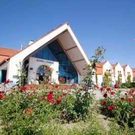 Kehida Termál Hotel Kehidakustány - Külső kép