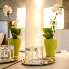 Kehida Termál Hotel Kehidakustány - Szobák