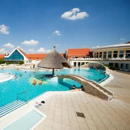 Kehida Termál Hotel Kehidakustány - Medence/kert