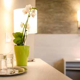 Kehida Termál Hotel Kehidakustány - Szobák