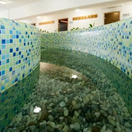 Kehida Termál Hotel Kehidakustány - Wellness