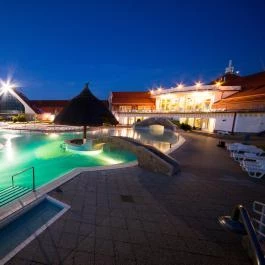 Kehida Termál Hotel Kehidakustány - Medence/kert