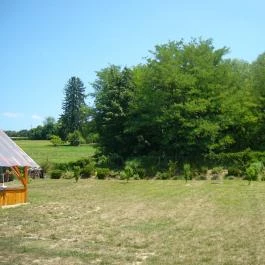 Kustánygyöngye Vendégház Kehidakustány - Medence/kert