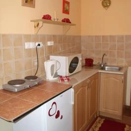 Viola Vendégház Kehidakustány - Egyéb