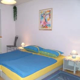 Viola Vendégház Kehidakustány - Egyéb