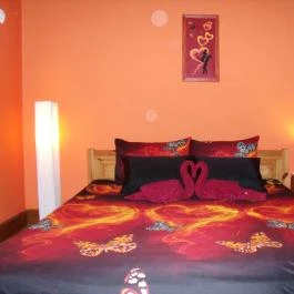 Viola Vendégház Kehidakustány - Egyéb