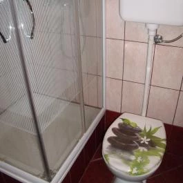 Viola Vendégház Kehidakustány - Egyéb