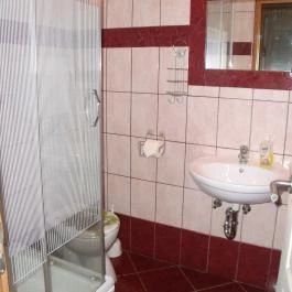 Viola Vendégház Kehidakustány - Egyéb