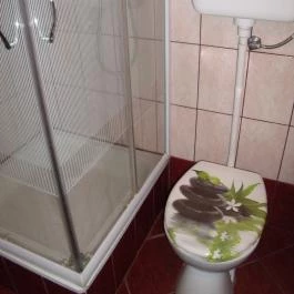 Viola Vendégház Kehidakustány - Egyéb