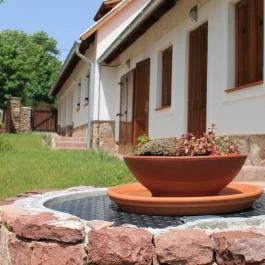 Oszter Ház Kékkút - Medence/kert