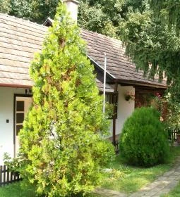 Kemence Patak Vendégház