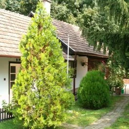 Kemence Patak Vendégház Kemence - Egyéb