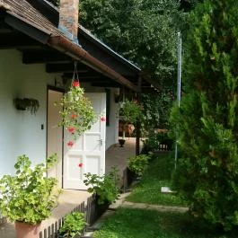 Kemence Patak Vendégház Kemence - Egyéb