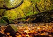 Kemence - Csarna-patak völgye