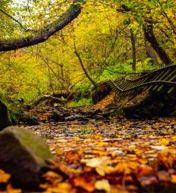 Csarna-patak völgye