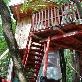 Kerca Bio Farm Kercaszomor - Belső