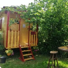 Kerca Bio Farm Kercaszomor - Egyéb