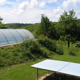 Réti Tanya Vendégház Kerecseny - 