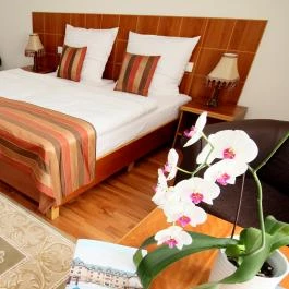 Vis Vitalis Medical Wellness Hotel Kerepes - Szobák