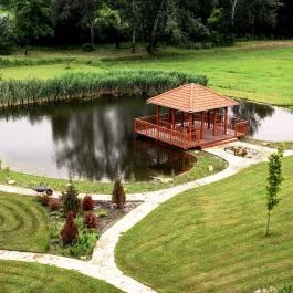 Vis Vitalis Medical Wellness Hotel Kerepes - Medence/kert