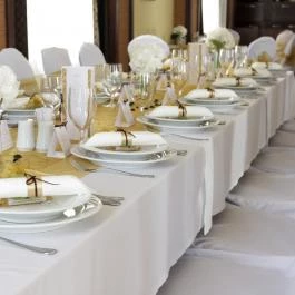 Vis Vitalis Medical Wellness Hotel Kerepes - Vendéglátás