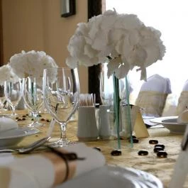 Vis Vitalis Medical Wellness Hotel Kerepes - Vendéglátás