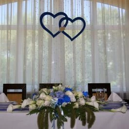 Vis Vitalis Medical Wellness Hotel Kerepes - Vendéglátás