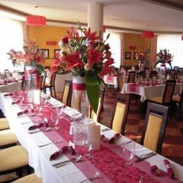 Vis Vitalis Medical Wellness Hotel Kerepes - Vendéglátás