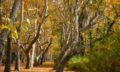 Helikon park