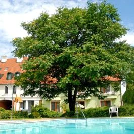 Abbázia Club Hotel Kék Keszthely - Medence/kert