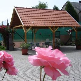 Abszolút Vendégház Keszthely - Medence/kert