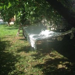 Abszolút Vendégház Keszthely - Medence/kert