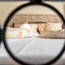 Belvárosi Zongorás Apartman Keszthely - Szobák