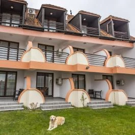 Hotel Bacchus Keszthely - Medence/kert