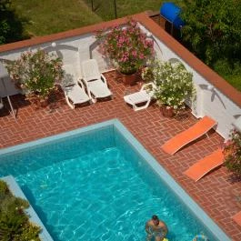 Hotel Kakadu Keszthely - Medence/kert