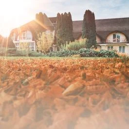 Hotel Ovit Keszthely - Egyéb