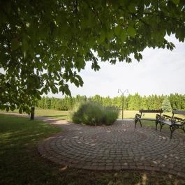 Hotel Ovit Keszthely - Medence/kert