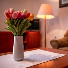 Hotel Ovit Keszthely - Szobák