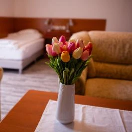 Hotel Ovit Keszthely - Szobák