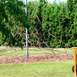 Hotel Ovit Keszthely - Medence/kert