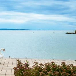 Hotel Ovit Keszthely - Egyéb