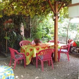 Ilona Kis Kastély Panzió Keszthely - Medence/kert