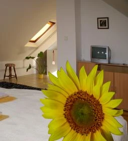 Monarchia Vendégház Keszthely