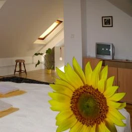 Monarchia Vendégház Keszthely Keszthely - Szobák